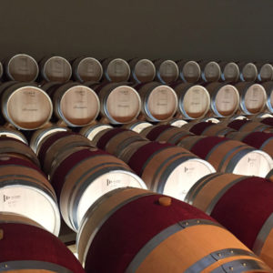 Bodegas Fuentespina.